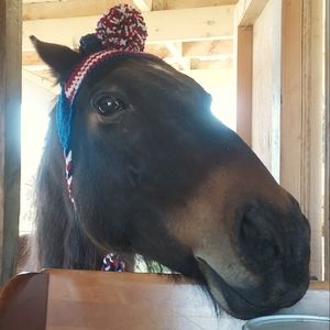 Meet your Posher, Susie